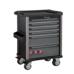 6-Drawer Trolley With 219PC Tools (B)